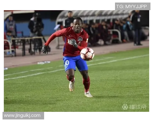 喀麦隆足球明星的辉煌历程与传奇故事探秘